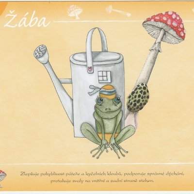 5_žába